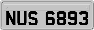 NUS6893
