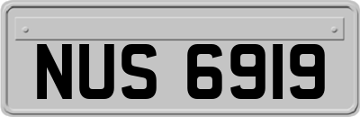 NUS6919