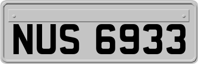 NUS6933