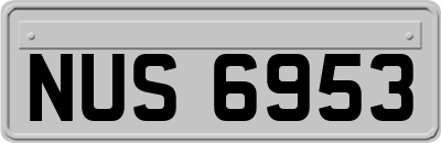 NUS6953