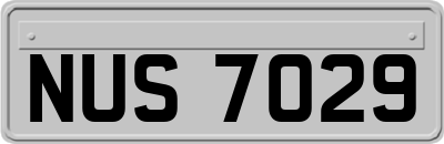 NUS7029