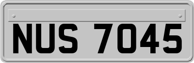NUS7045