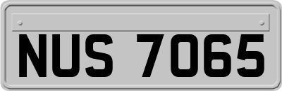 NUS7065