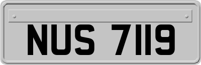 NUS7119