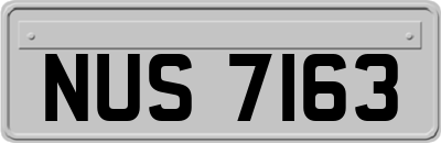 NUS7163