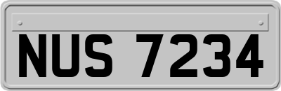 NUS7234