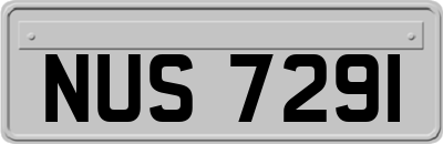 NUS7291