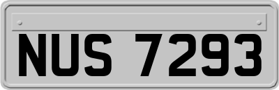 NUS7293