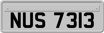 NUS7313