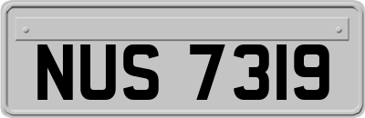 NUS7319
