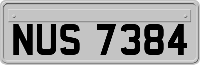 NUS7384
