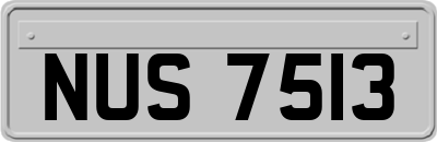 NUS7513