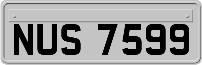 NUS7599