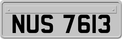 NUS7613