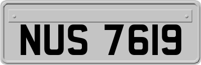 NUS7619