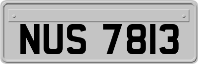 NUS7813