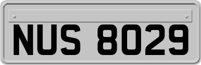 NUS8029