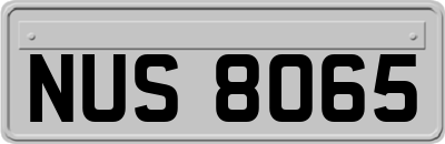 NUS8065