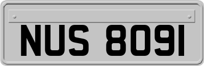 NUS8091