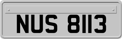 NUS8113
