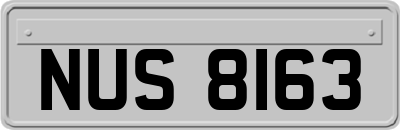 NUS8163