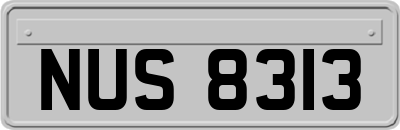 NUS8313