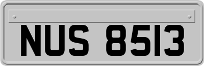 NUS8513