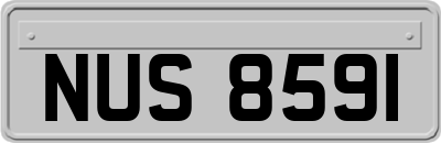 NUS8591