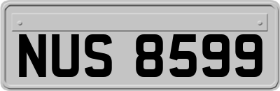 NUS8599