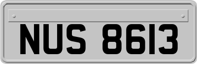 NUS8613