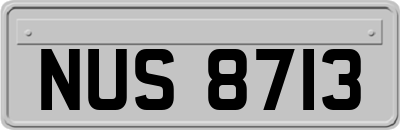 NUS8713