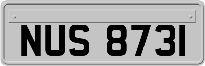 NUS8731