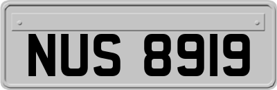 NUS8919