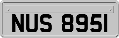 NUS8951