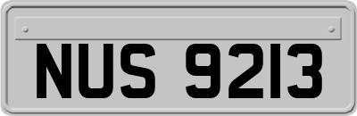 NUS9213