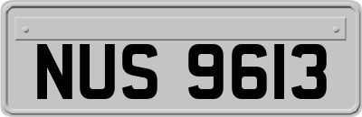 NUS9613