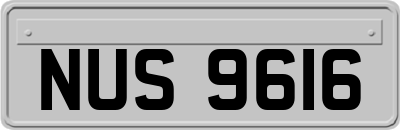 NUS9616