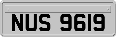 NUS9619