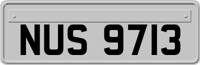 NUS9713
