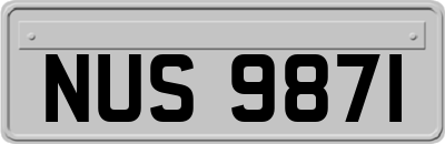NUS9871