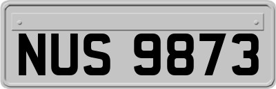 NUS9873