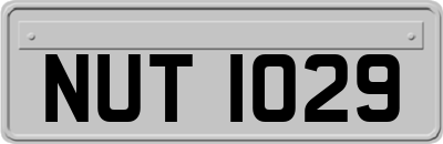 NUT1029