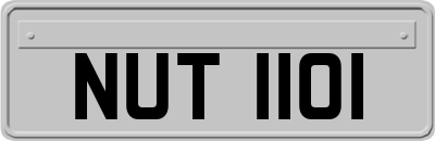 NUT1101