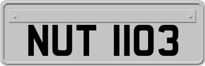 NUT1103