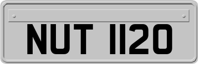 NUT1120