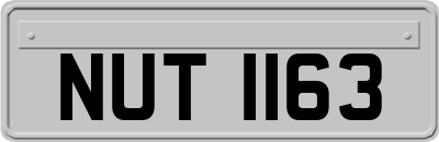 NUT1163