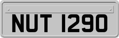 NUT1290