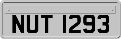 NUT1293