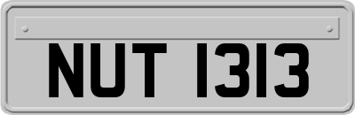 NUT1313