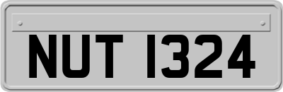 NUT1324
